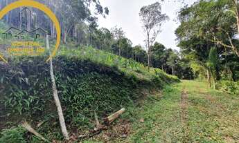 Imagem 2: SITIO RURAL em REGISTRO - SP, Palmeiras