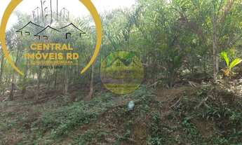 Imagem 6: SITIO RURAL em REGISTRO - SP, Palmeiras