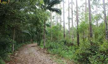 Imagem 4: SITIO RURAL em Jacupiranga - SP, Canha