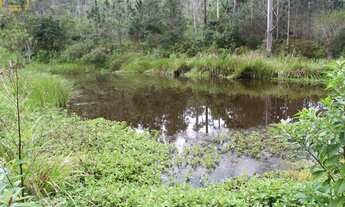 Imagem 7: SITIO RURAL em Jacupiranga - SP, Canha
