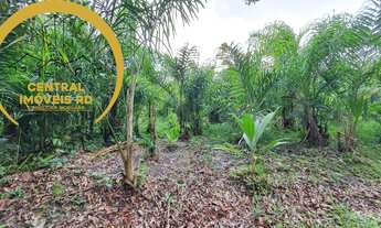 Imagem 5: Sítio em Miracatu