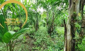 Imagem 3: Sítio em Miracatu