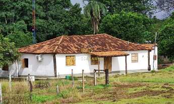 Imagem 7: FAZENDA DUPLA APTIDÃO