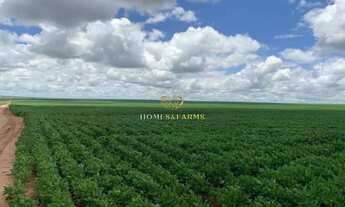 Imagem 7: FAZENDA A VENDA EM MATO GROSSO (DUPLA APTIDÃO