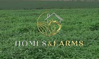 Imagem 5: FAZENDA REGIÃO DE ÁGUA BOA CANARANA