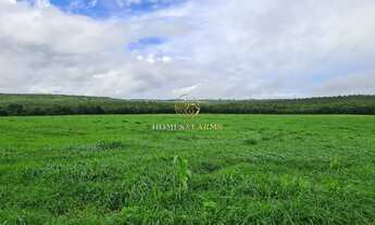 Imagem 2: FAZENDA DUPLA APTIDÃO