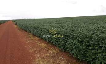 Imagem: FAZENDA REGIÃO DE ÁGUA BOA CANARANA