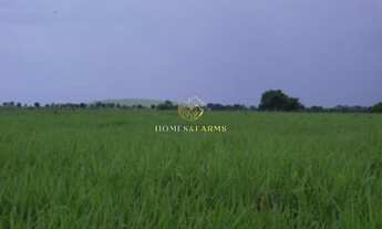 Imagem: BELÍSSIMA FAZENDA ENTRE RIOS MT