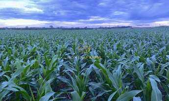Imagem: FAZENDA NA REGIÃO DO ARAGUAIA PARA