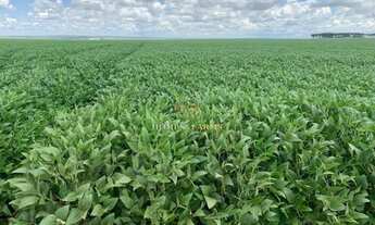 Imagem 4: FAZENDA A VENDA EM MATO GROSSO (DUPLA APTIDÃO