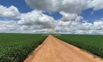 Imagem 2: FAZENDA A VENDA EM MATO GROSSO (DUPLA APTIDÃO