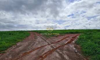 Imagem 4: FAZENDA DUPLA APTIDÃO