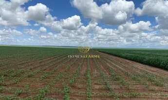 Imagem 6: FAZENDA A VENDA EM MATO GROSSO (DUPLA APTIDÃO