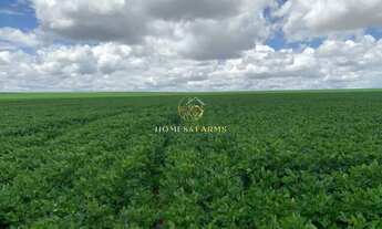 Imagem: FAZENDA A VENDA EM MATO GROSSO (DUPLA APTIDÃO