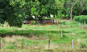 Imagem 6: FAZENDA DUPLA APTIDÃO