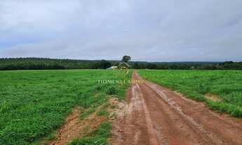 Imagem 5: FAZENDA DUPLA APTIDÃO