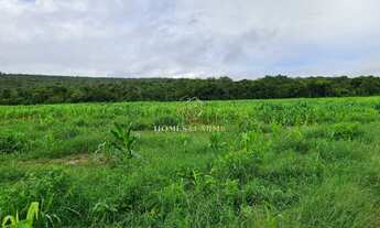 Imagem 3: FAZENDA DUPLA APTIDÃO