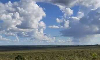 Imagem 4: Fazenda a Venda Região Paranatinga - MT