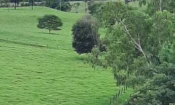 Imagem: Fazenda 2.105,40 hectares (435 alqueires)