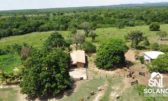 Imagem: FAZENDA DUPLA APTIDÃO PLANTAÇÃO E PECUÁRIA