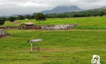 Imagem 6: Fazenda 1.240 hectares Município rosário Oeste-MT