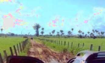 Imagem 6: BELÍSSIMA FAZENDA PARAÍSO DO SUL - MT