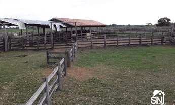 Imagem 7: Fazenda a Venda no Pantanal de Poconé MT
