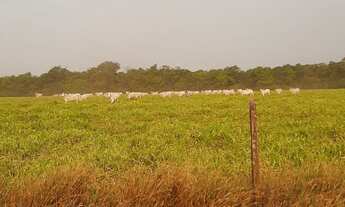 Imagem 4: Vende esta propriedade de porteira fechada em nova Ubiratan - MT