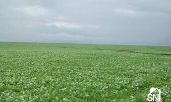 Imagem: BELÍSSIMA FAZENDA EM SANTANA ARAGUAIA