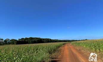 Imagem 3: EXCELENTE FAZENDA EM NOBRES MT