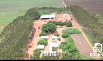 Imagem: FAZENDA A VENDA A 70 KM DE PRIMAVERA DO