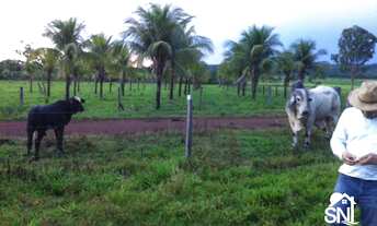 Imagem 7: EXCELENTE FAZENDA EM NOBRES MT