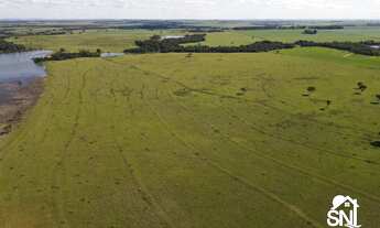 Imagem: Fazenda no município de Turvelândia GO