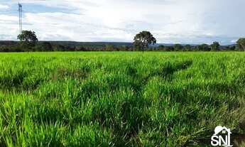 Imagem 4: FAZENDA EM BARRA DO BUGRES MT