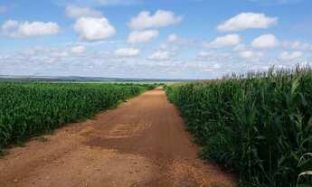 Imagem 5: FAZENDA EM TANGARÁ DA SERRA MT