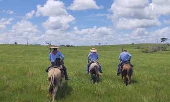Imagem 6: BELÍSSIMA FAZENDA NO NORTE DO PARA