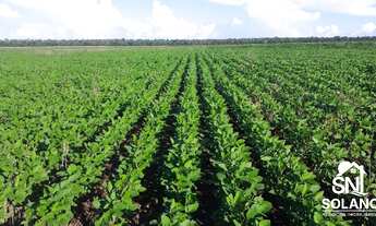 Imagem 3: FAZENDA DUPLA APTIDÃO EM PRIMAVERA DO LESTE MT