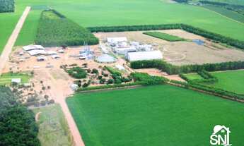 Imagem: FAZENDA COM FABRICA DE ÓLEOS VEGETAIS EM