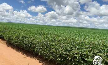 Imagem 4: FAZENDA A VENDA A 70 KM DE PRIMAVERA DO LESTE MT