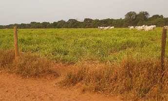 Imagem 3: Vende esta propriedade de porteira fechada em nova Ubiratan - MT