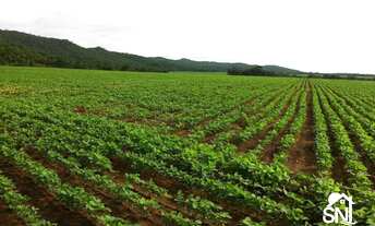 Imagem: EXCELENTE FAZENDA EM NOBRES MT