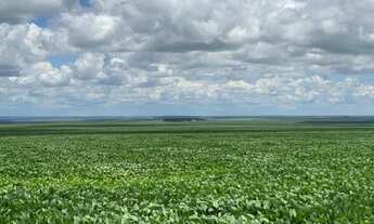 Imagem 6: FAZENDA A VENDA A 70 KM DE PRIMAVERA DO LESTE MT