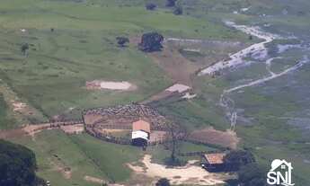Imagem 2: Fazenda a Venda no Pantanal de Poconé MT