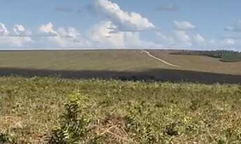 Imagem 2: Fazenda a Venda Região Paranatinga - MT