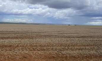 Imagem 3: FAZENDA EM TANGARÁ DA SERRA MT