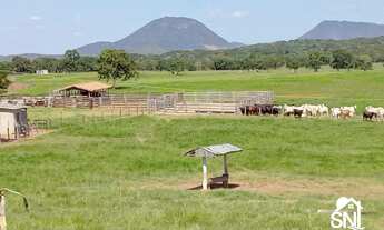 Imagem: Fazenda 1.240 hectares Município rosário