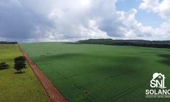 Imagem 7: Vendo Fazenda de Agricultura Primavera do Leste/MT