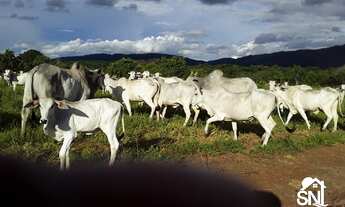 Imagem 1: FAZENDA EM BARRA DO BUGRES MT