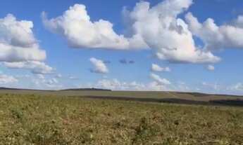Imagem: Fazenda a Venda Região Paranatinga - MT