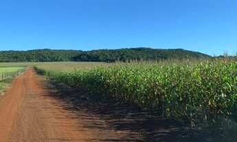 Imagem 4: EXCELENTE FAZENDA EM NOBRES MT